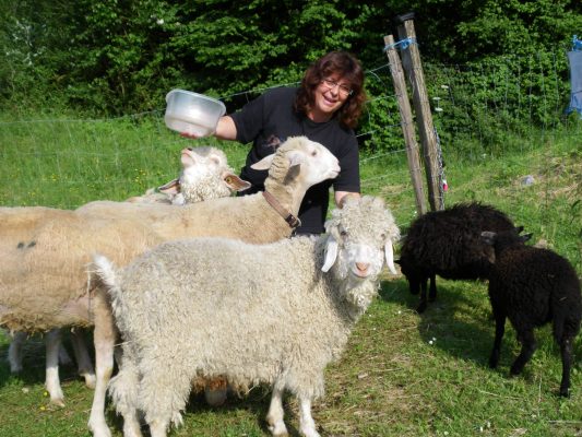 Wool | Mohair
