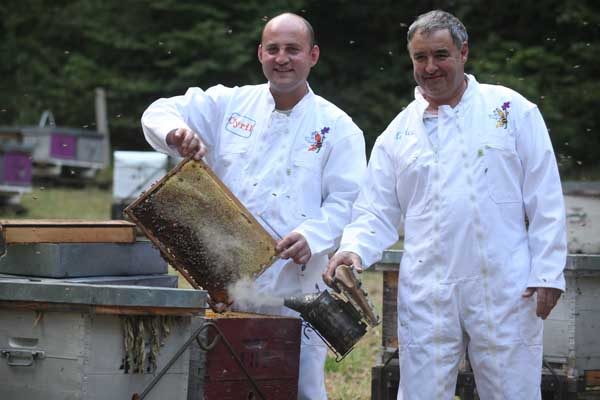 Local honey