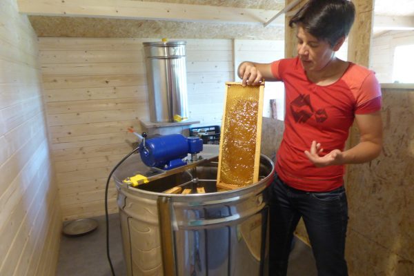 Artisanal honey