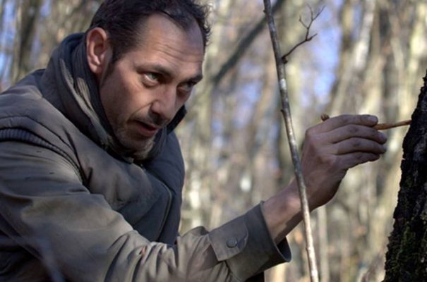 Organic birch sap