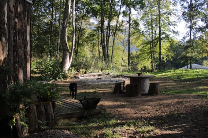 0447ebd7-cc3f-45ca-89e1-4a261e8174b7