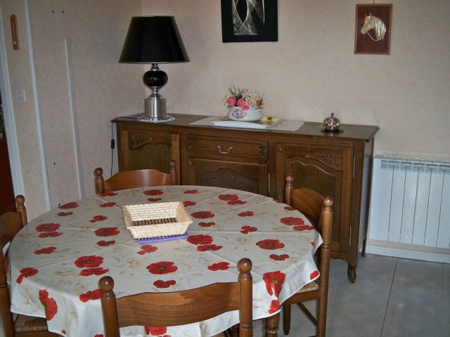 100-0133—Copie—Copie