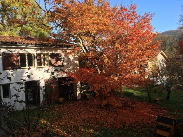 120-lagrotteaulion-pyrenees-bnb1-HLOMID031V50OF6H-size2048