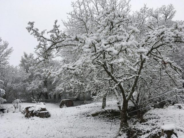 123-lagrotteaulion-pyrenees-bnb1-HLOMID031V50OF6H-size2048