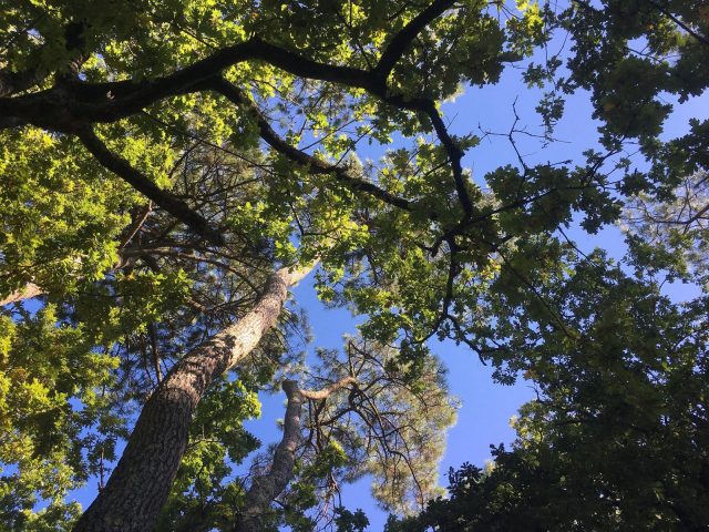 125-lagrotteaulion-pyrenees-bnb1-HLOMID031V50OF6H-size2048