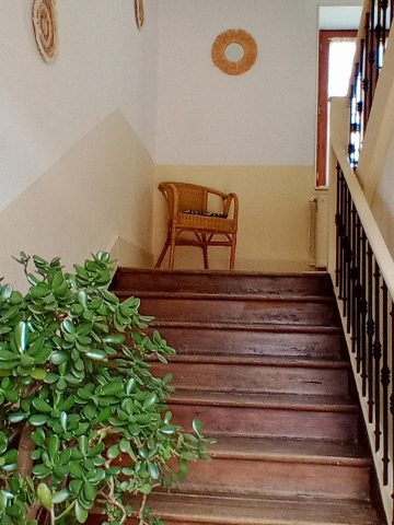 2026-gites-des-cedres–1—53-