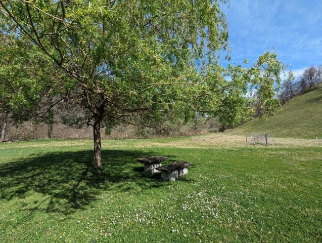 31G100024-1b62b4e0cd544209a730f79c7d31ad25