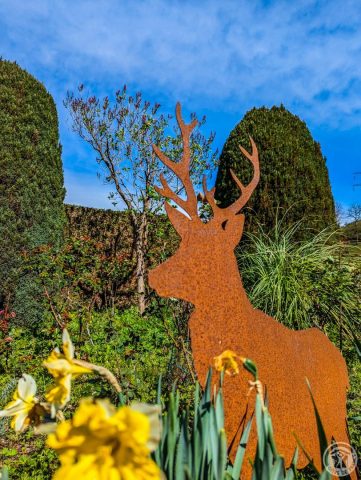 31G100024-448edf20d88241efb883be60fae2c488