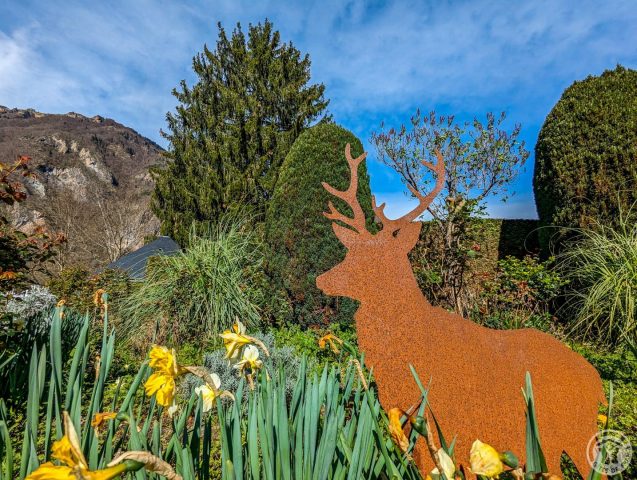 31G100024-4c35df177b52455f8f61d8a897bdc980