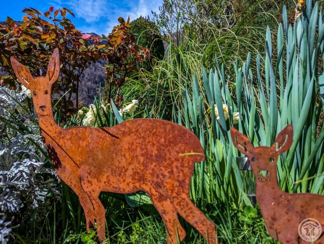 31G100024-6560b97b346e423897362072b7204d09