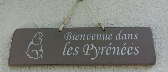 31G100024-bc5e2d21d3bc48bf87a680fa76c8bed8