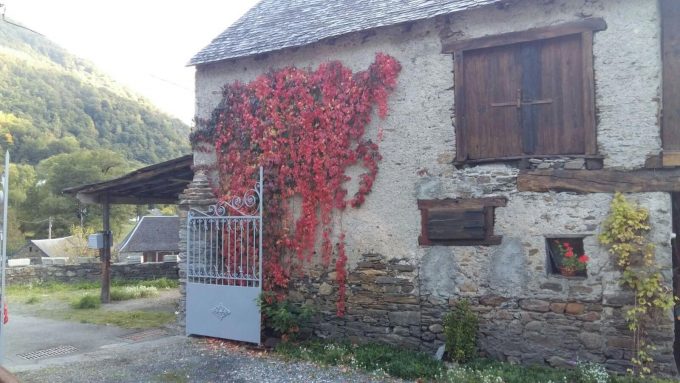 31G100024-e4bf03606d75438582cca59a96859198