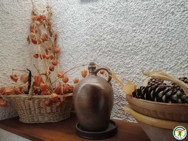 31G100084-b66c4d79df0d42b08da8da36577d8803