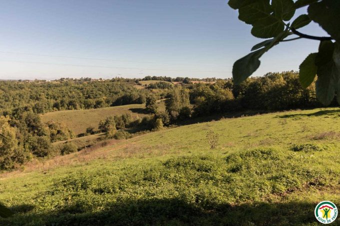 31G100135-47696f0c55be4cb4945e3c6188beb3f7