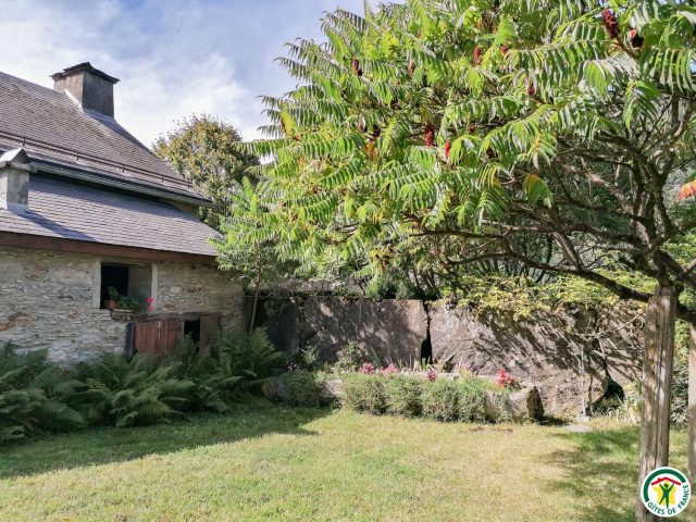 31G100242-6207bd380e61417196b6013ed46196c4