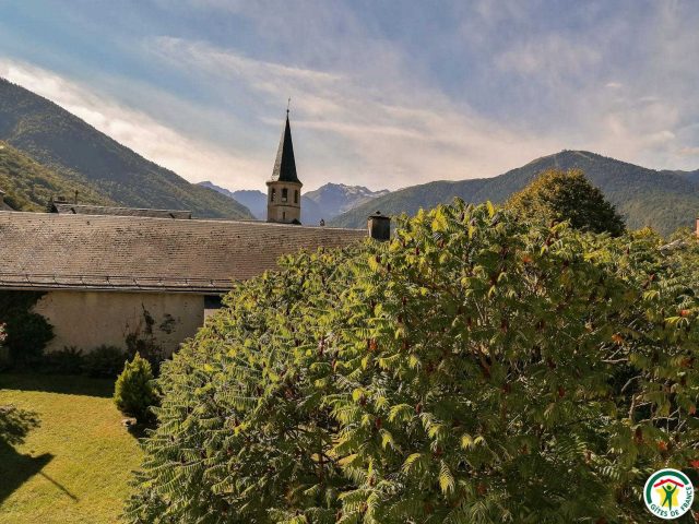 31G100242-67d98839a3a14187aed71ed7e2875390