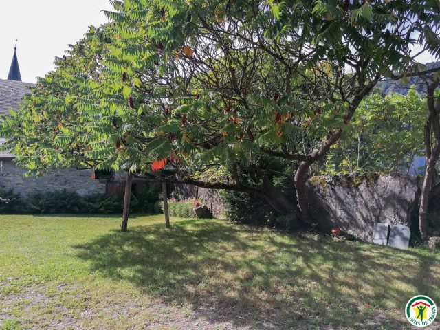 31G100242-bd14f2f01dab48ecb5f98b72f9743292