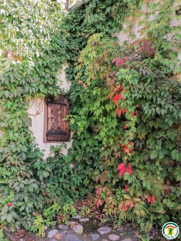 31G100242-ec6dfb15634b4887821028d305faf1da