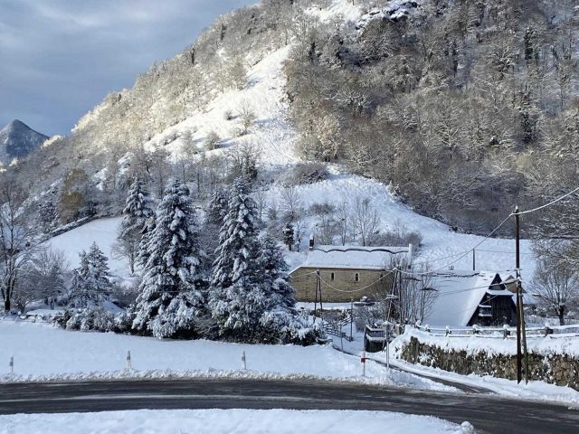 31G100245-285c20c905ba4adc82a06c3e880d3f72