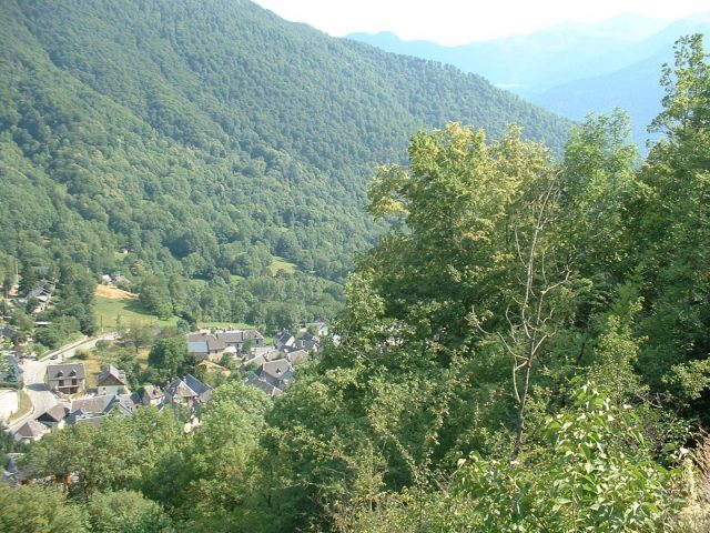 31G100245-72a65a0c514647b6b70e67d4a1d6b939