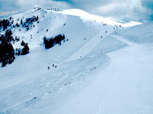 31G100245-a20b720a98c044da95fb628b0b09c763