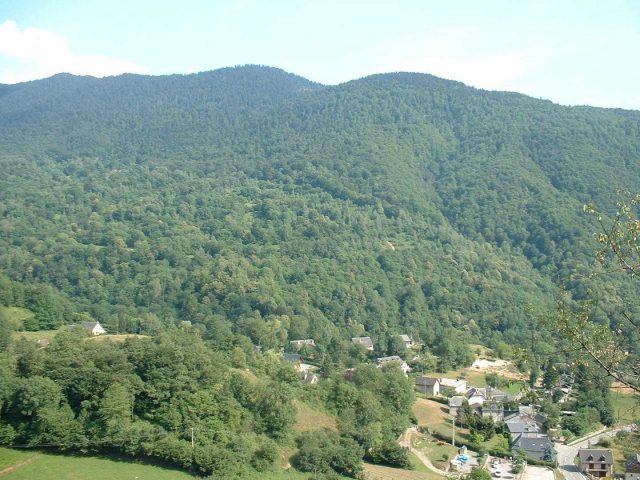 31G100245-a5cadb2bc526430db091b22291af1b49