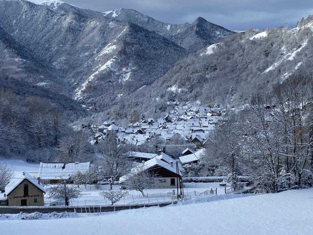 31G100245-f64e2f5d20ba4ff7a2739176eb8cddd0