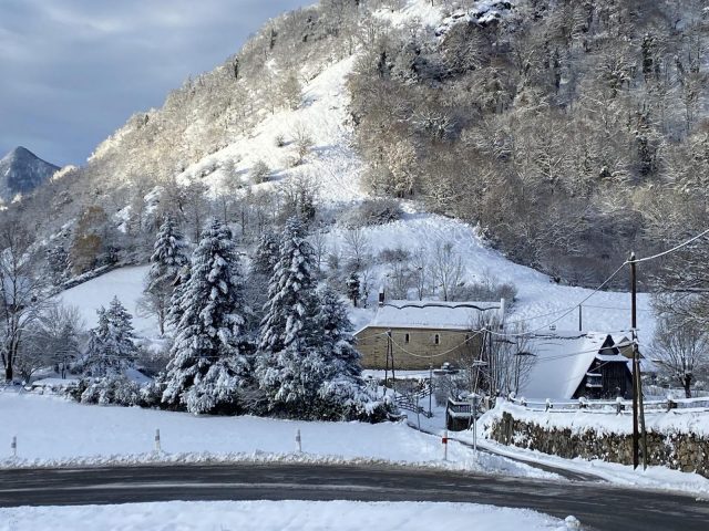 31G100245-f895ddade680465b93803d3a43086182