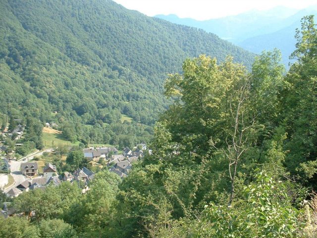 31G100245-faf8a346b5c24afe880e0edcdf9e26eb