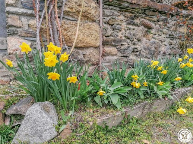 31G100264-0d78cac1613c4ea0a5c0fcc644268a71