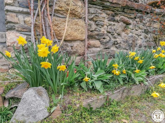 31G100264-6f0386174af946019ee820842664a529