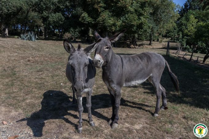 31G100307-48d1543eb3b8494c9c10319ea8737a84