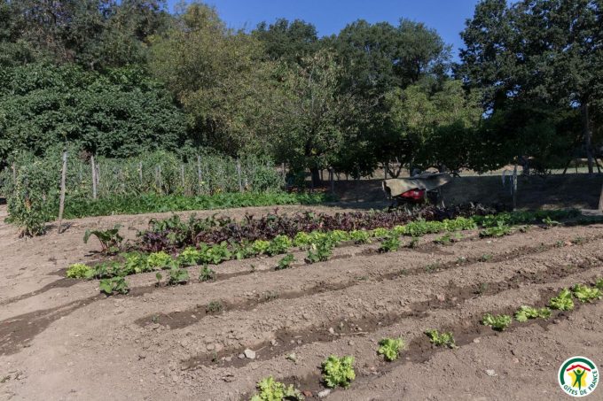 31G100307-82dbd450f6d241e3be84a773dc48341c