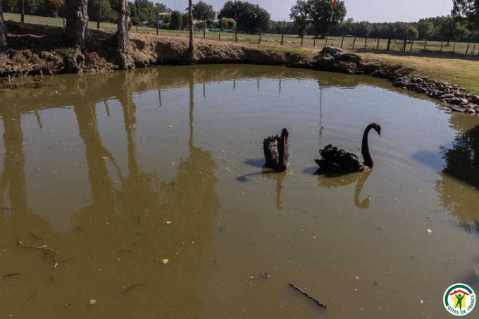 31G100307-ca0918d8203046488e9593ae222fd61f