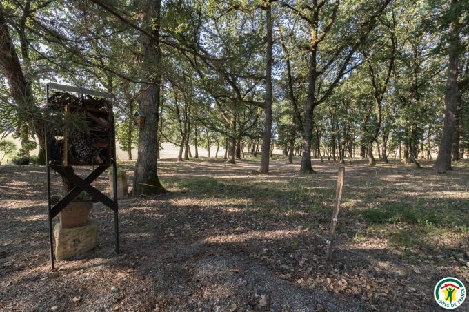 31G100307-cc2c169311c84e1cb3965f8bea210428