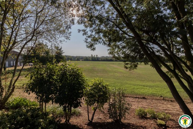 31G100307-e7397c3ce3444b5ba8fabfa101e64311