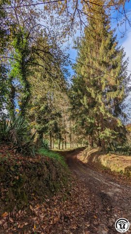 31G100310-1b87c3fad98a4f308322715c3137fc8b