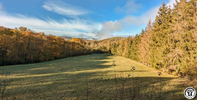 31G100310-2283dfaa15914075af7de0e7cb2c59ee