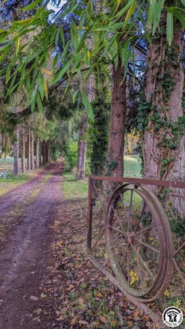 31G100310-3829ce8e68d4420e8de967094693b507