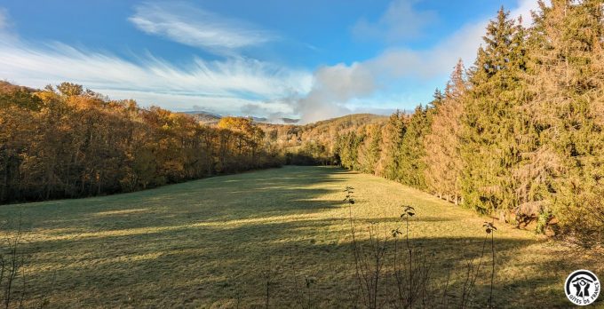 31G100310-6ddfa76c60564b34a980d2c05632a924