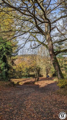 31G100310-8669fa3ee1f94c92ab25d077ea212890