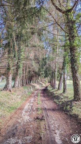 31G100310-8714fea0cda348bb90ed1feb419b4d48