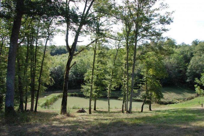 31G100342-2add74a1fb194695bd11e62d11e4ae38