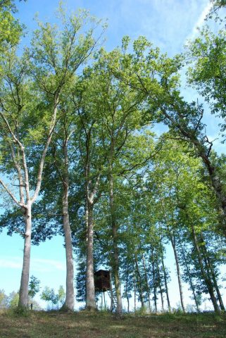 31G100342-739e6e11416d4f7dbe301aaf59592d09