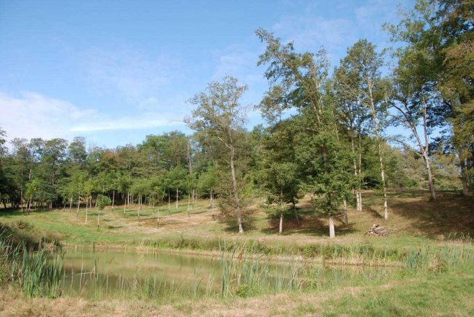 31G100342-ba10e1f8dfd94edb9ade1f92d44ec1e5