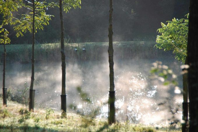 31G100342-bf2c7203546f414888c5b22f86d64b55