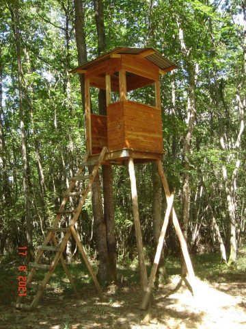 31G100342-c4024793b78941acb363d528a34e4fc7