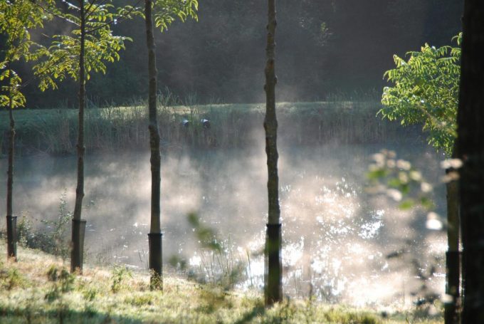 31G100342-e033327365b547fdbb0ed715b212eb4a