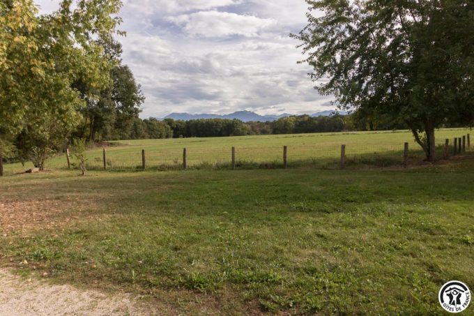 31G100344-cce260224e6a4104860a4aa3bb3a81ec