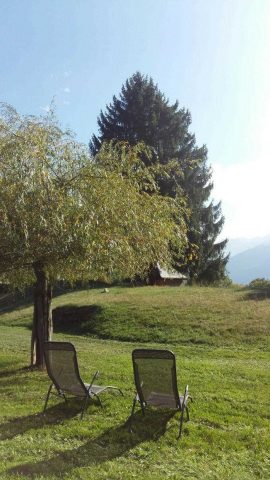 31G100355-6b3703b760594b59abea0795d5cd403e